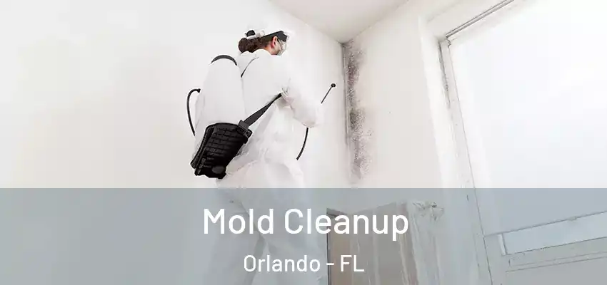  Mold Cleanup Orlando - FL