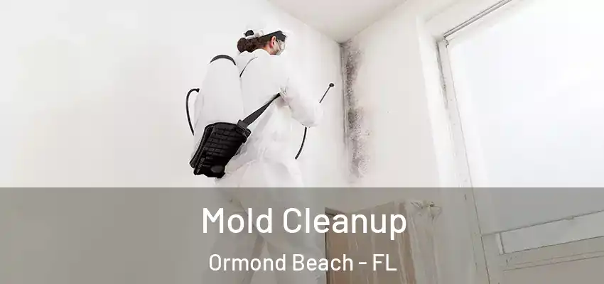  Mold Cleanup Ormond Beach - FL