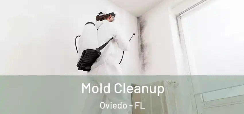  Mold Cleanup Oviedo - FL