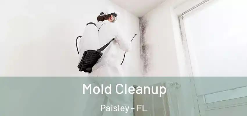 Mold Cleanup Paisley - FL