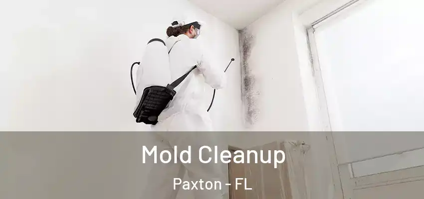  Mold Cleanup Paxton - FL