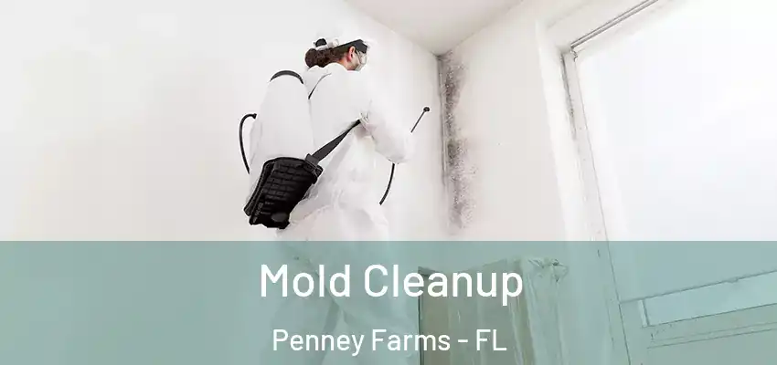 Mold Cleanup Penney Farms - FL