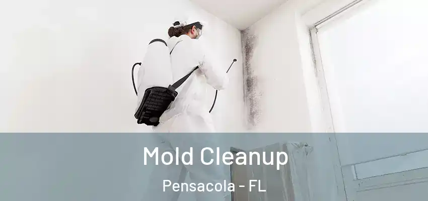 Mold Cleanup Pensacola - FL