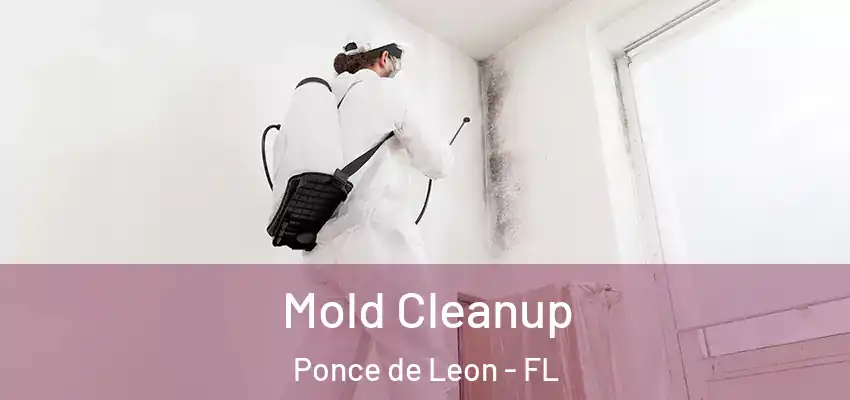  Mold Cleanup Ponce de Leon - FL
