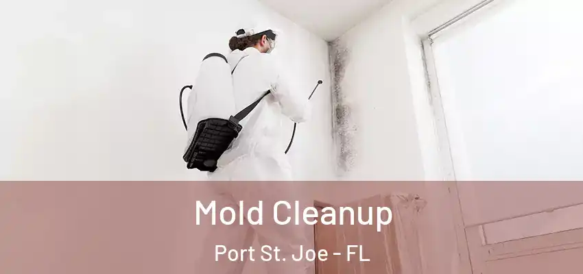 Mold Cleanup Port St. Joe - FL
