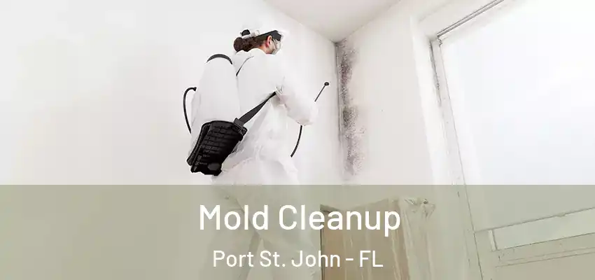  Mold Cleanup Port St. John - FL