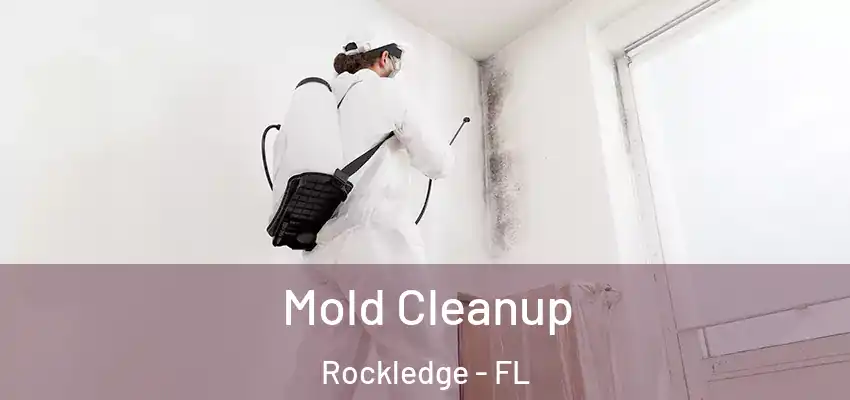  Mold Cleanup Rockledge - FL