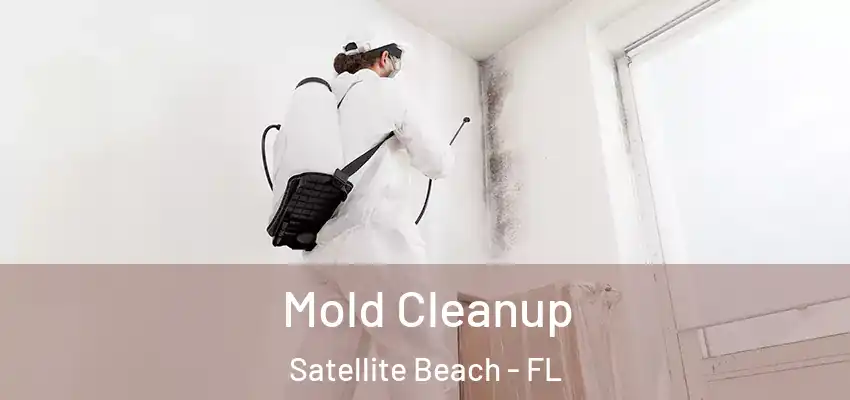 Mold Cleanup Satellite Beach - FL