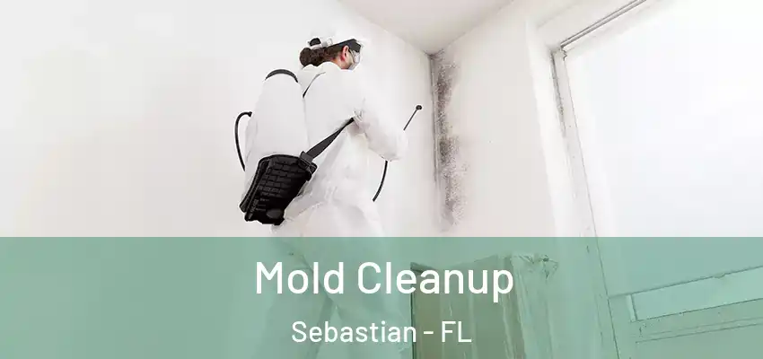  Mold Cleanup Sebastian - FL