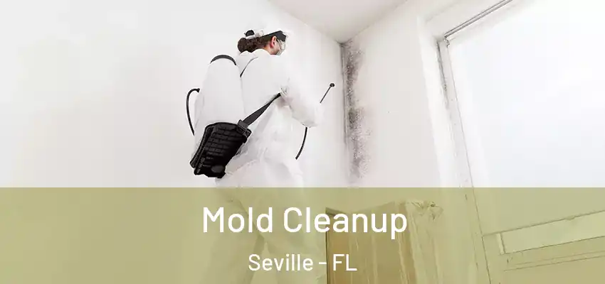 Mold Cleanup Seville - FL