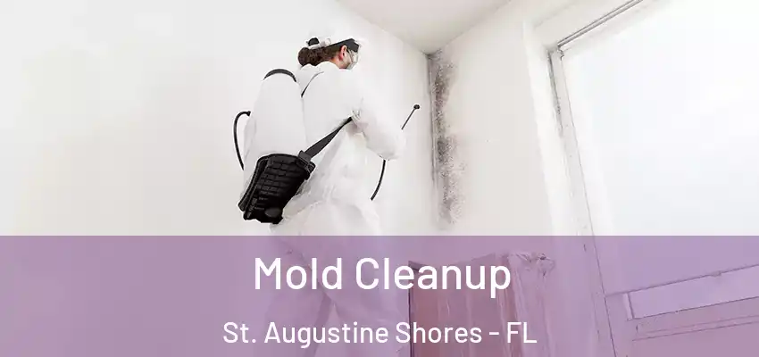 Mold Cleanup St. Augustine Shores - FL