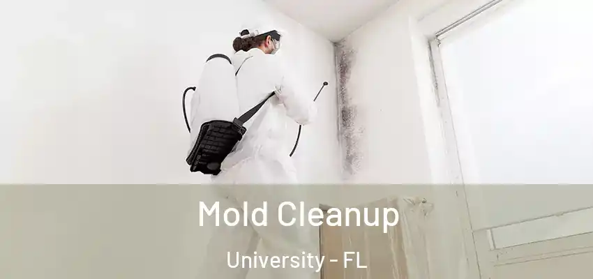  Mold Cleanup University - FL