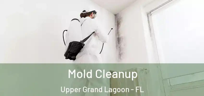  Mold Cleanup Upper Grand Lagoon - FL