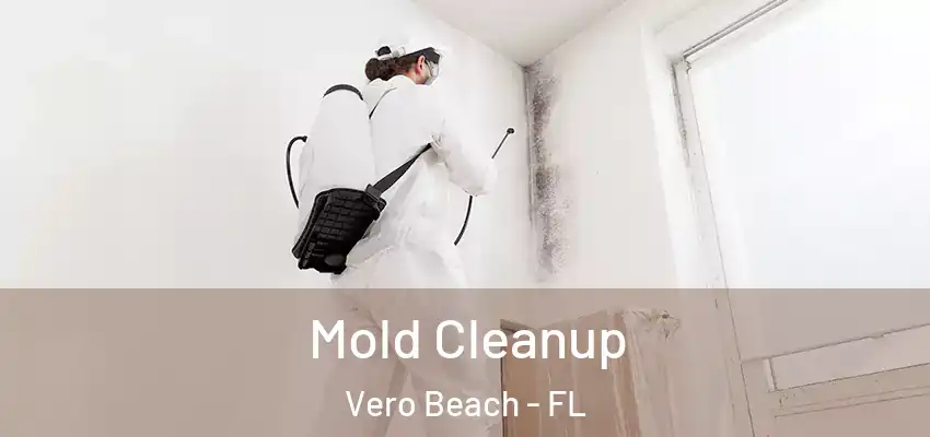  Mold Cleanup Vero Beach - FL