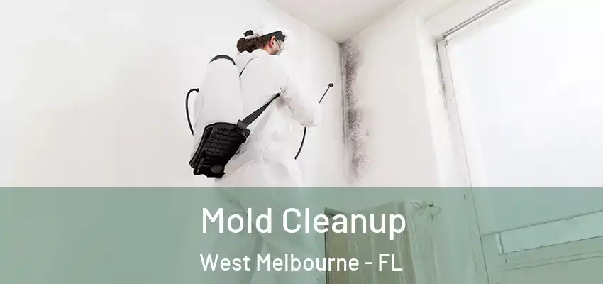 Mold Cleanup West Melbourne - FL