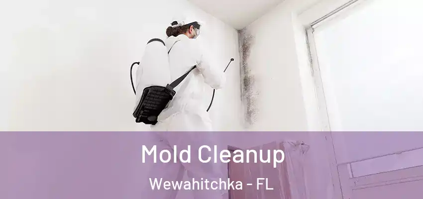  Mold Cleanup Wewahitchka - FL