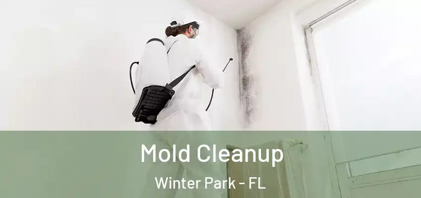  Mold Cleanup Winter Park - FL