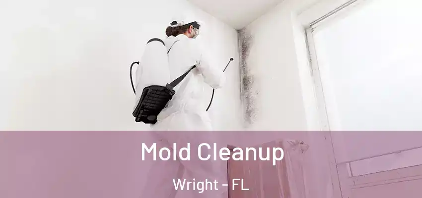  Mold Cleanup Wright - FL