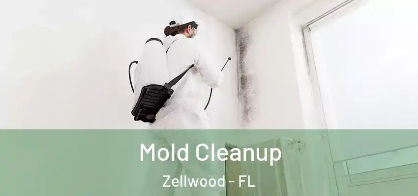 Mold Cleanup Zellwood - FL