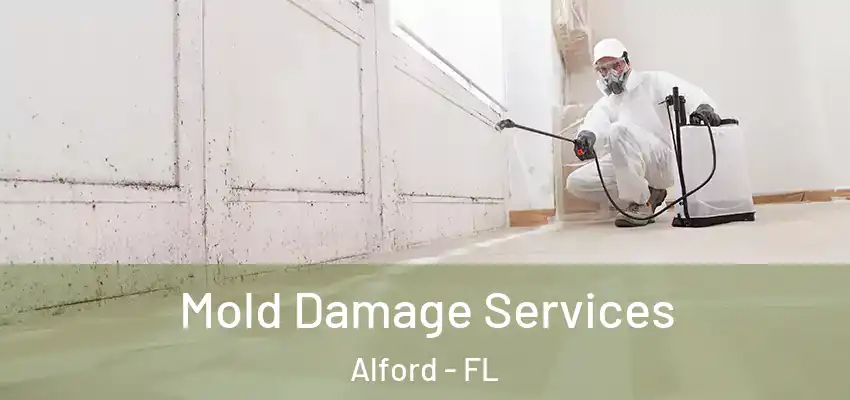  Mold Damage Services Alford - FL