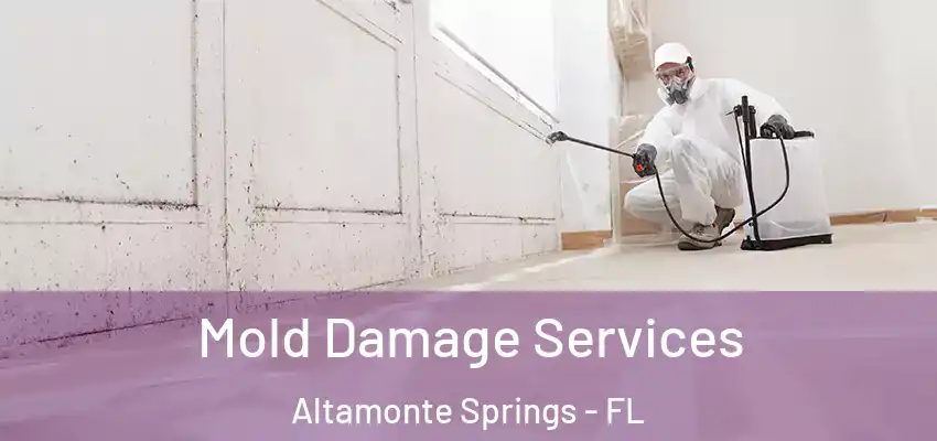  Mold Damage Services Altamonte Springs - FL
