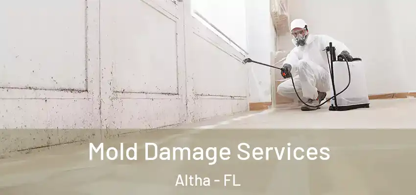 Mold Damage Services Altha - FL