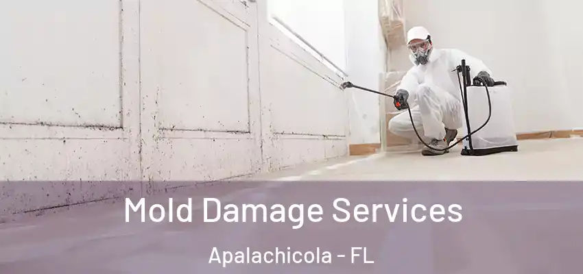  Mold Damage Services Apalachicola - FL
