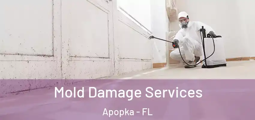  Mold Damage Services Apopka - FL
