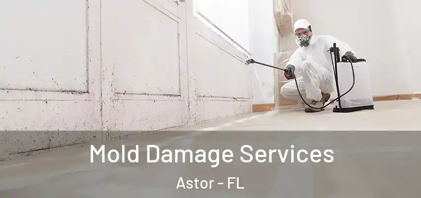  Mold Damage Services Astor - FL