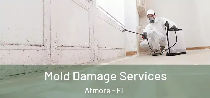  Mold Damage Services Atmore - FL