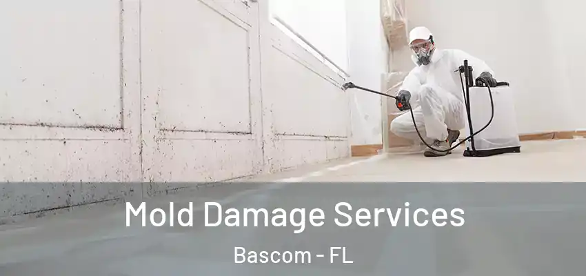 Mold Damage Services Bascom - FL