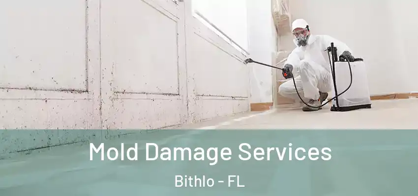 Mold Damage Services Bithlo - FL