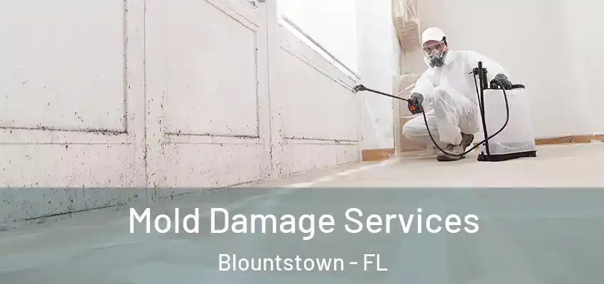  Mold Damage Services Blountstown - FL