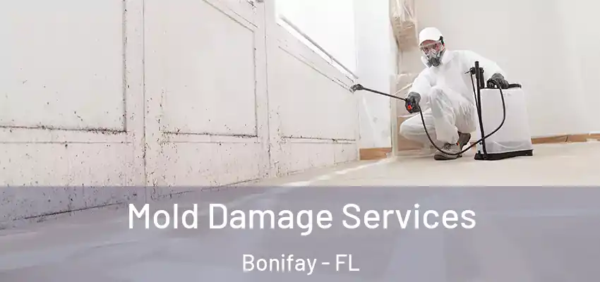 Mold Damage Services Bonifay - FL