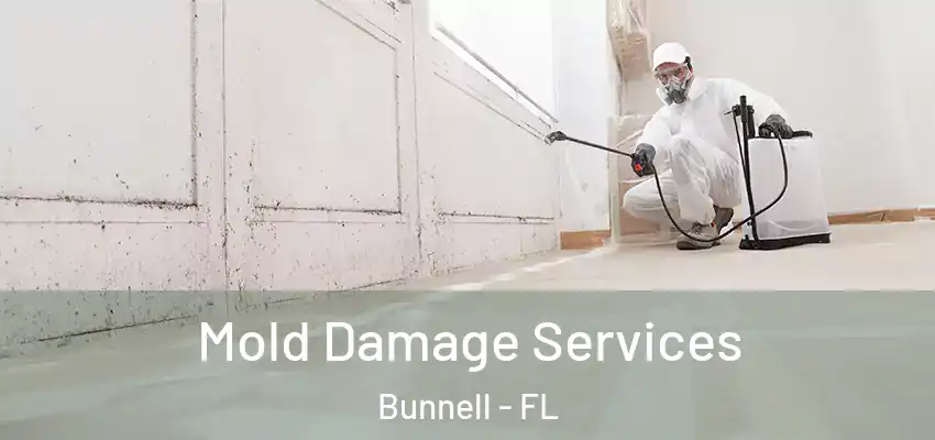  Mold Damage Services Bunnell - FL