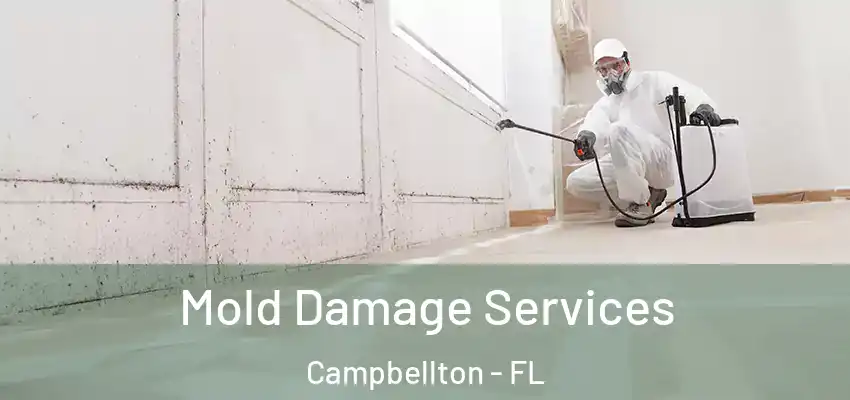  Mold Damage Services Campbellton - FL
