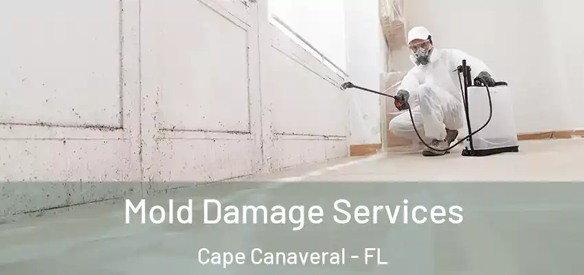  Mold Damage Services Cape Canaveral - FL