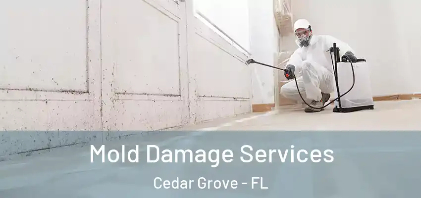 Mold Damage Services Cedar Grove - FL