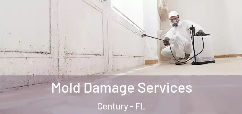 Mold Damage Services Century - FL