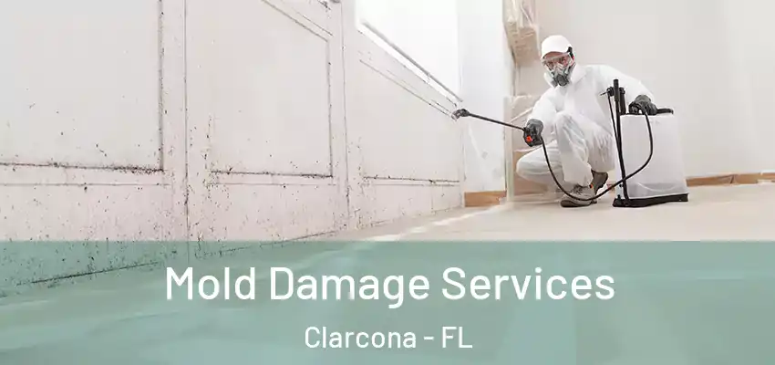 Mold Damage Services Clarcona - FL