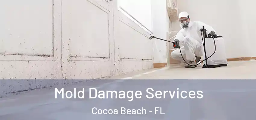 Mold Damage Services Cocoa Beach - FL