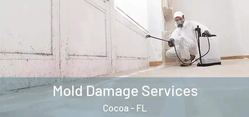  Mold Damage Services Cocoa - FL