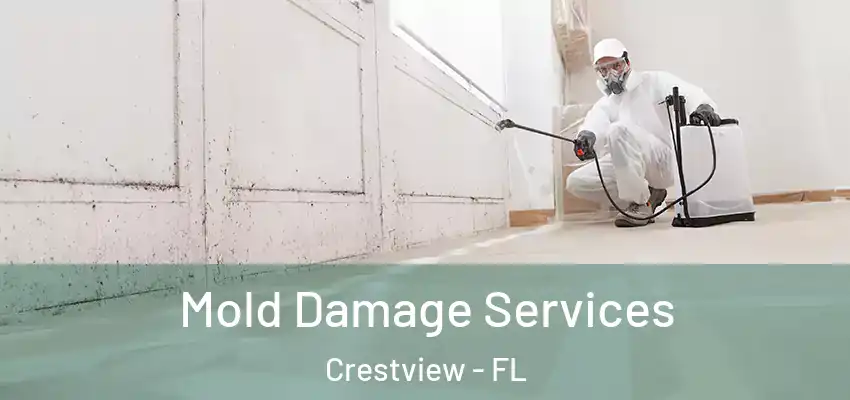 Mold Damage Services Crestview - FL