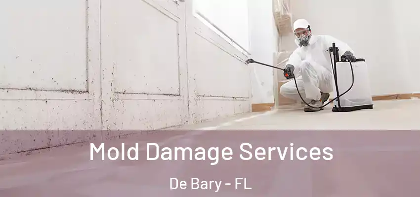 Mold Damage Services De Bary - FL