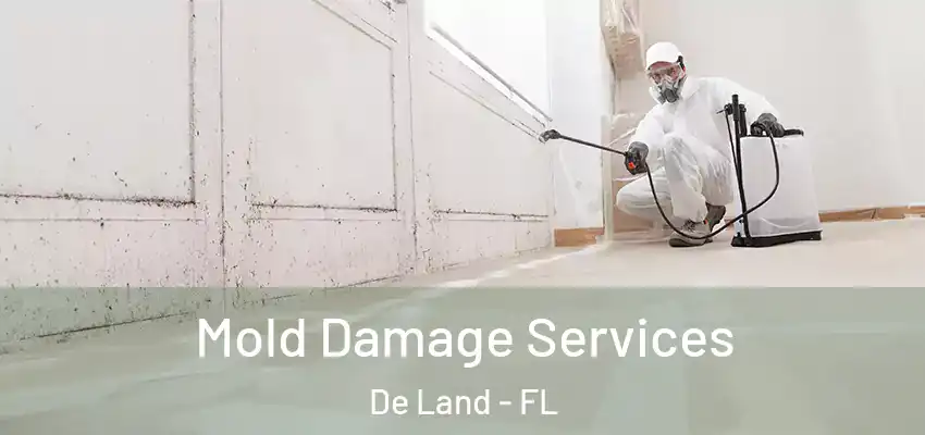  Mold Damage Services De Land - FL