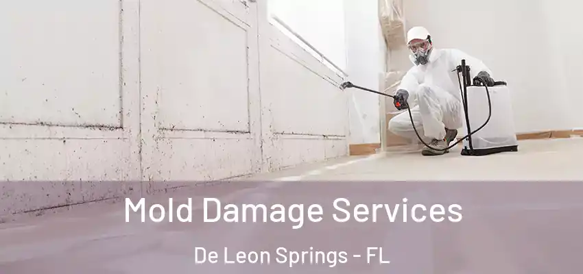  Mold Damage Services De Leon Springs - FL