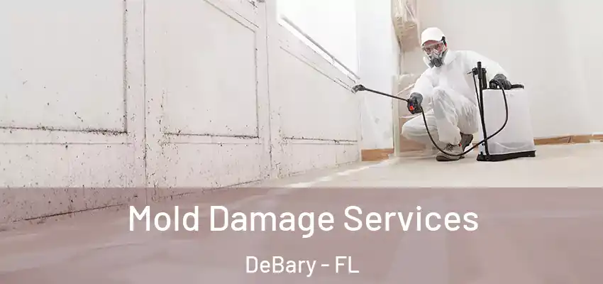  Mold Damage Services DeBary - FL