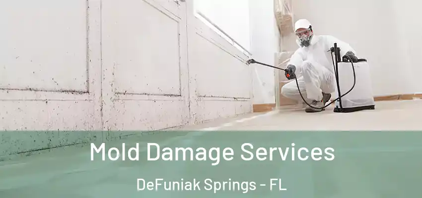  Mold Damage Services DeFuniak Springs - FL
