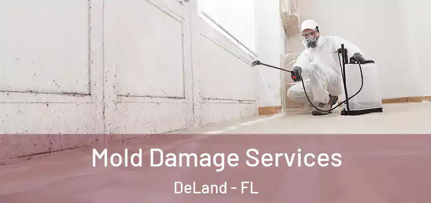  Mold Damage Services DeLand - FL
