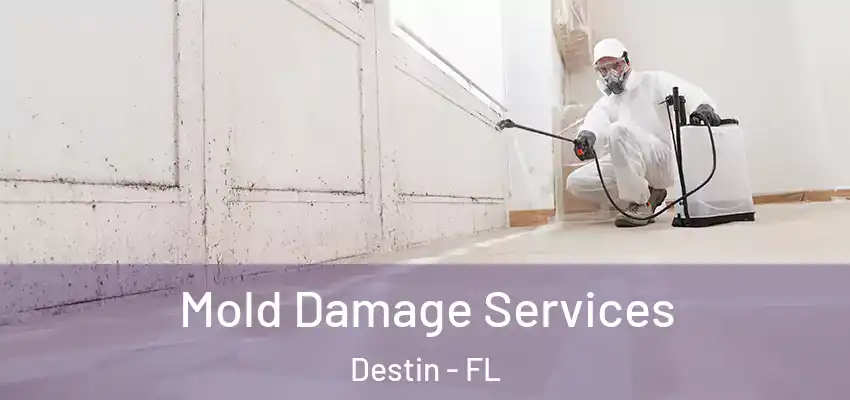  Mold Damage Services Destin - FL